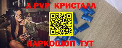 гидра Будённовск