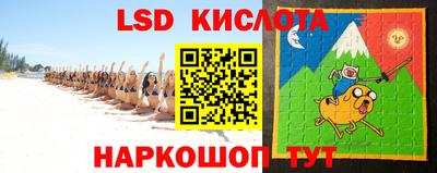 гидра Будённовск