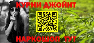 гидра Будённовск