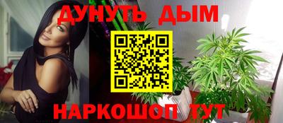 гидра Будённовск